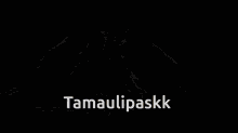 Tamaulipas Dmc GIF - Tamaulipas Dmc GIFs