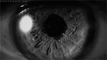 a black and white photo of a person 's eye with constantine written on the bottom right