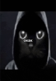 a black cat wearing a hoodie with glowing eyes is looking at the camera .