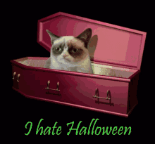 Halloween Grumpy Cat GIF - Halloween Grumpy Cat Funny GIFs