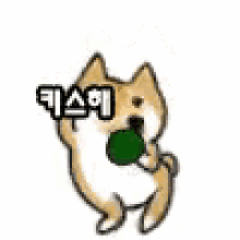 a doge is holding a green ball in its paws and standing on its hind legs .