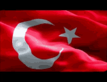 Turkey Flag GIF - Turkey Flag Windy GIFs