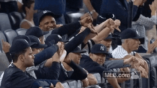 Yankees Fan GIF - Yankees Fan Cap - Discover & Share GIFs