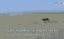 Kite Dog GIF - Kite Dog Got You GIFs