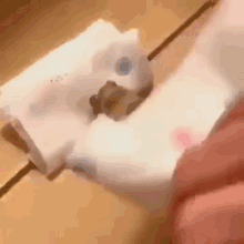 Frog Tuck In GIF