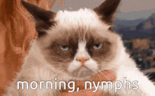 a grumpy cat is being held in someone 's arms with the words morning nymphs below it