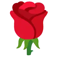 a red rose with a green stem and leaves