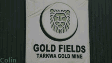 Gfi Goldfields GIF - Gfi Goldfields GIFs