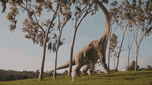Jurassicjungle GIF - Jurassicjungle GIFs