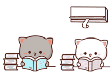 mochi peach reading books ac