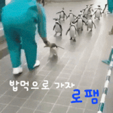 a group of penguins are walking down a tiled floor with a man holding a penguin