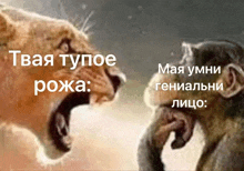 a lion and a monkey are standing next to each other and the lion is yelling at the monkey