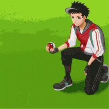 Pokemon Poke Balls GIF