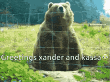 Greetings Xander GIF - Greetings Xander Kassa GIFs