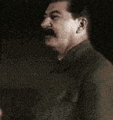 a man with a mustache is wearing a green coat