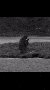 a black and white photo of a bear standing on a rock near the water