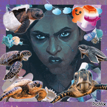 a collage of sea turtles and a woman 's face with the words picmix below it