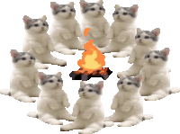 Kitty Cult Fire Sticker