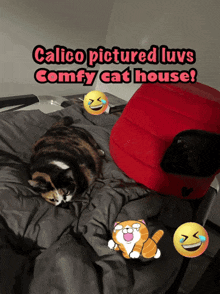calico pictured luvs comfy cat house with two cats on the bed