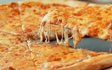 National Cheese Pizza Day Happy Pizza Day GIF - National Cheese Pizza Day Cheese Pizza Day Pizza GIFs