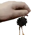 a close up of a person 's hand holding a black object