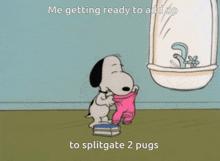 snoopy getting ready to add up to splitgate 2 pugs in front of a sink