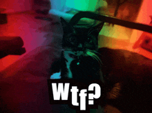 a picture of a cat with the words " wtf " on it