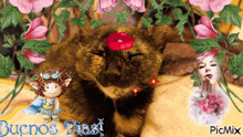 a picture of a cat with a kiss on its face and the words buenos dias on the bottom