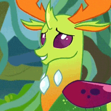 thorax mlp