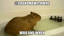 Grandmawithwhe Who GIF - Grandmawithwhe Who And GIFs