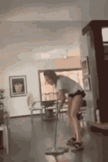 Mop Mopping GIF