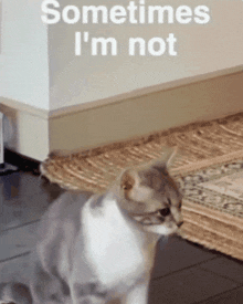 Sometimes Im Not Lonely Cat GIF - Sometimes Im Not Lonely Cat Sometimes Im Alone GIFs