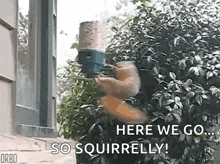 a squirrel is holding a bird feeder in its paws and says `` here we go so squirrelly ! ''