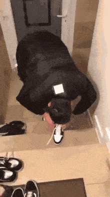 a person is standing on a set of stairs and tying their shoelaces .