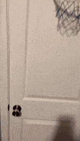 a person is standing in a doorway with a shadow on the wall
