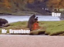 Braunbaer User GIF - Braunbaer User Fight GIFs