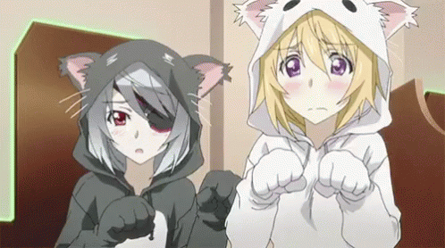 catgirl-anime.gif