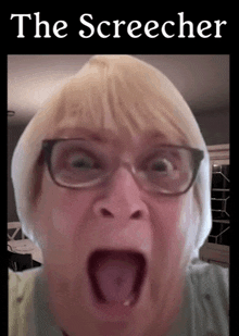 a woman with glasses is making a funny face with the words " the screecher " behind her
