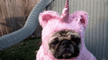 Excited Unicorn GIF - Unicorns Pugs Costume GIFs