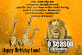Leo Birthday Lioness GIF - Leo Birthday Lioness Lions GIFs