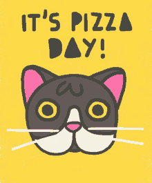 pizza day pizza cat happy pizza day