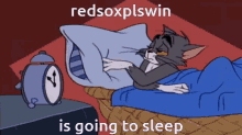 Sleep Redsoxplswin GIF - Sleep Redsoxplswin GIFs