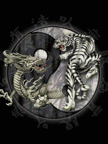 yin yang dragon tiger balance
