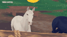 Star Stable Sso GIF