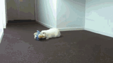 This Is How My Bunny Hops... GIF - Bunny Easter Cute GIFs