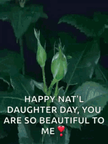 Rose Bloom GIF - Rose Bloom Daughters Day GIFs
