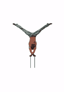 handstand balance willy weldens acro