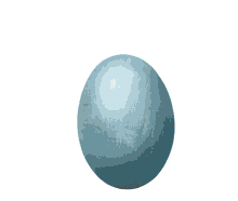 egg color