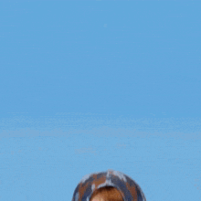 a girl wearing a baseball cap and a shirt that says ' argentina ' on the front