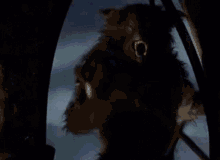 Werewolf Middle Finger GIF - Werewolf Wolf Middle Finger GIFs